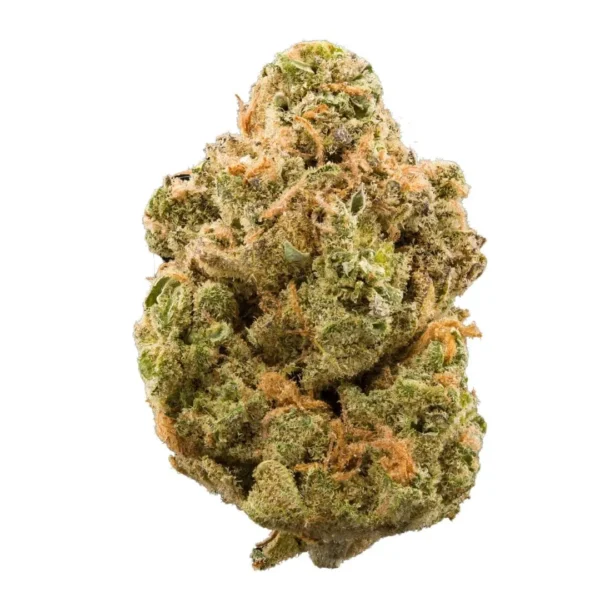 Stardawg-3.5G-Hybrid.webp